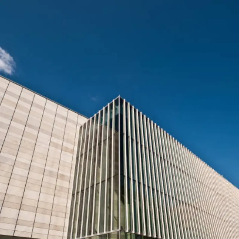 Aluminum Wall Panels Durable and Stylish Solutions for Building Exteriors (4).jpg