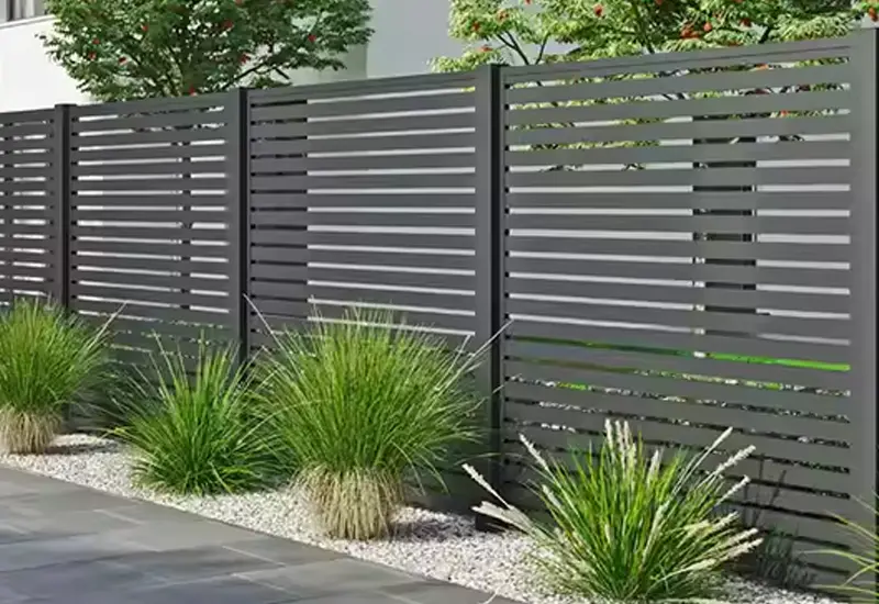 The Perfect Fusion of Protection and Elegance (1)