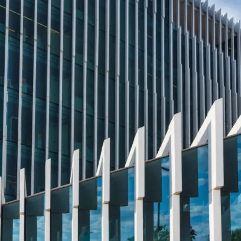 Aluminum Wall Panels Durable and Stylish Solutions for Building Exteriors (2).jpg