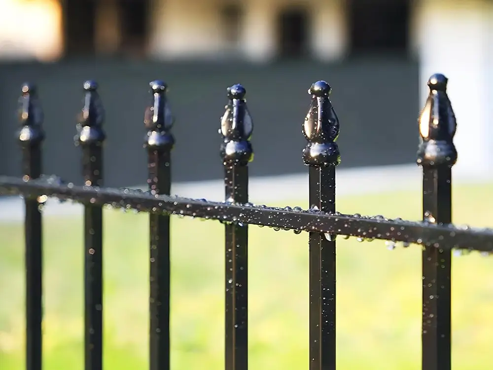 b24164ed06ce5c73caa339dd3e9ccab3_71mfRaNNEoL