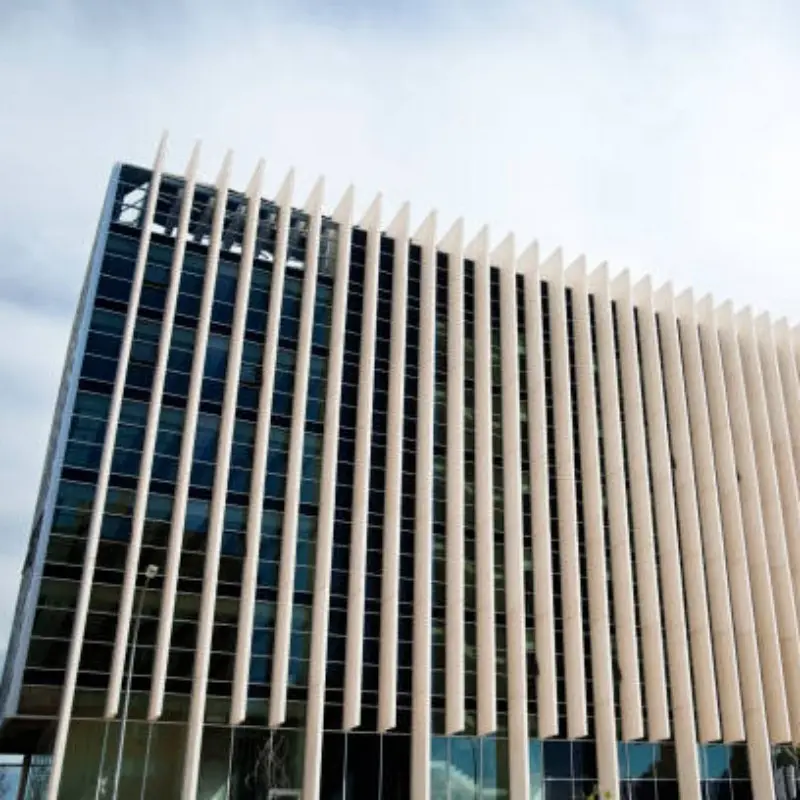 Aluminum Wall Panels Durable and Stylish Solutions for Building Exteriors (5).jpg